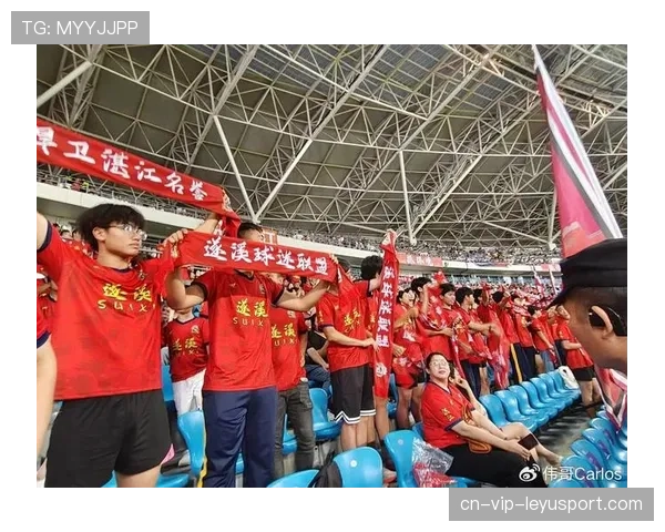 已故球迷的助威声被录下来在球场播放，一个球迷助威